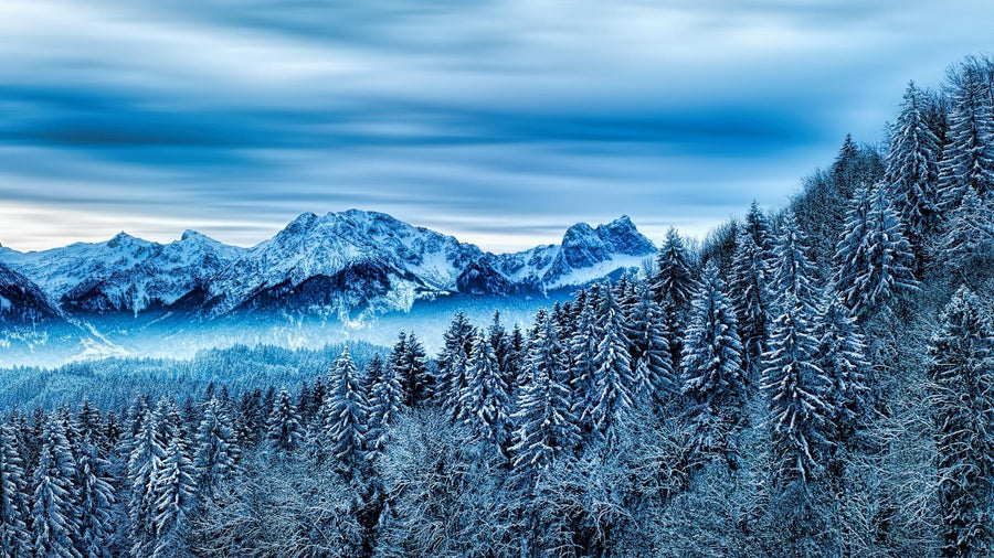 Il n’y a pas de mauvaises températures… ou mes trucs pour jouer dehors sous zéro!