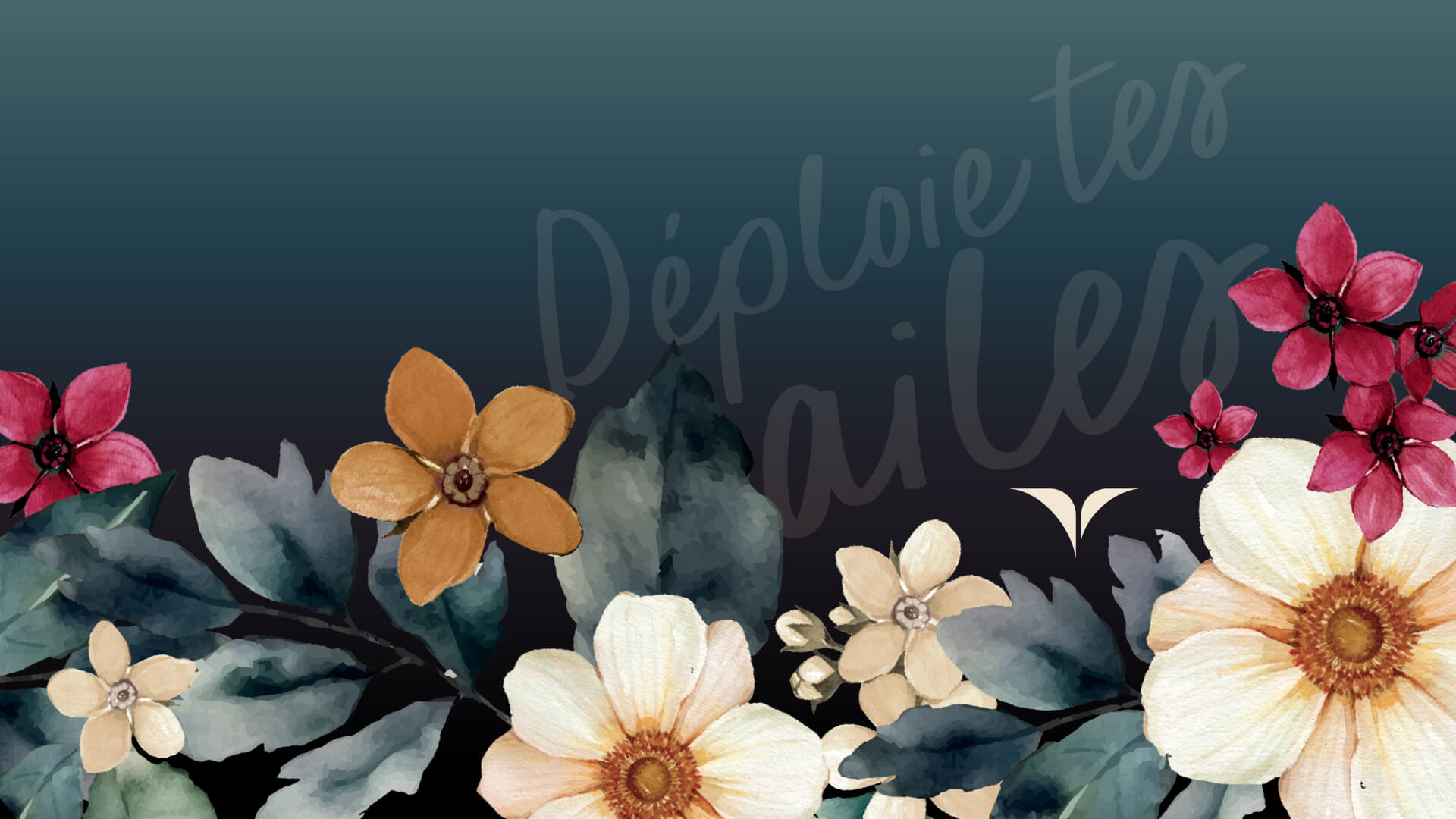 Fonds d'écran - Janvier 2024